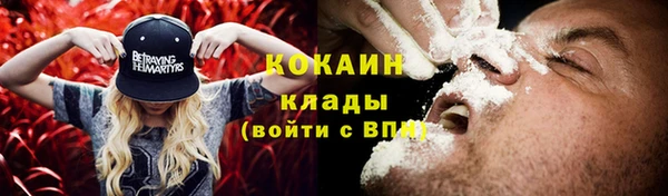 мдпв Богданович