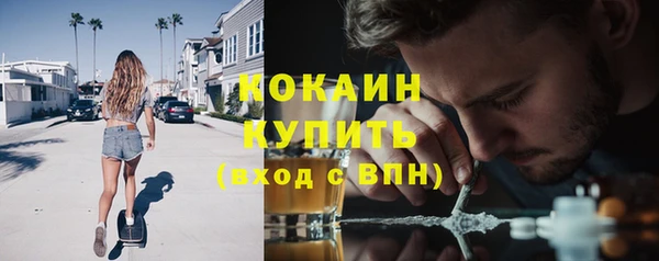 мдпв Богданович