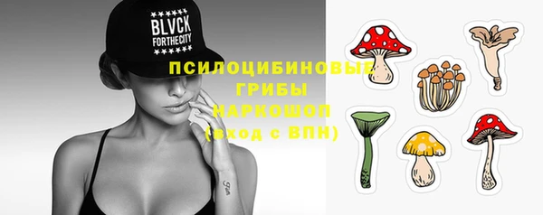 мдпв Богданович