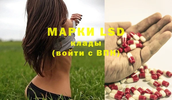 мдпв Богданович