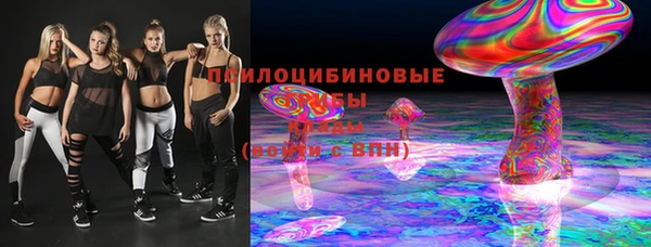 мдпв Богданович