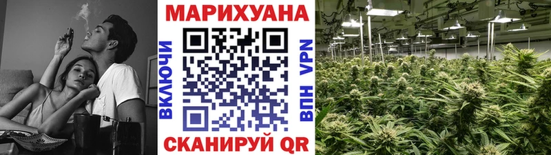 Бошки Шишки план хочу Мончегорск
